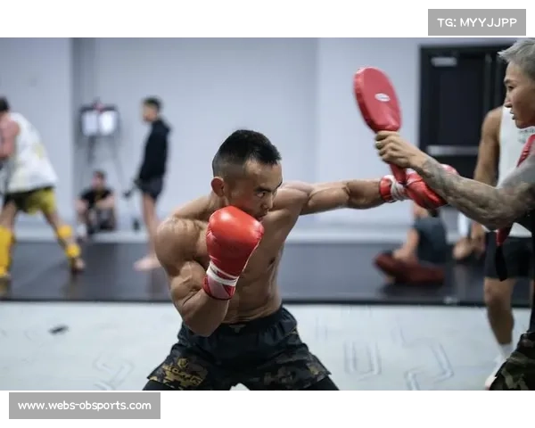 综合格斗训练营在全球范围兴起，推动运动科学发展